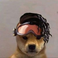 Snowmothfox (@frostwalkermoth) 's Twitter Profile