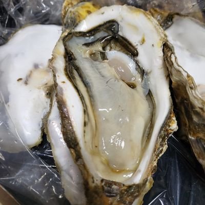 cXwyAOuQRoB4kKX's profile picture. 兼業投資家　会社員時々主婦
宅地建物取引士　FP2級　小型船舶1級