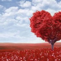 Toprak (@toprak60216723) Twitter profile photo