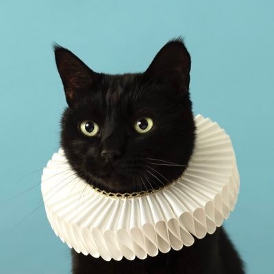 Tomcat60983568's profile picture. 