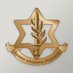 Армия обороны Израиля (@IdfRussian) Twitter profile photo