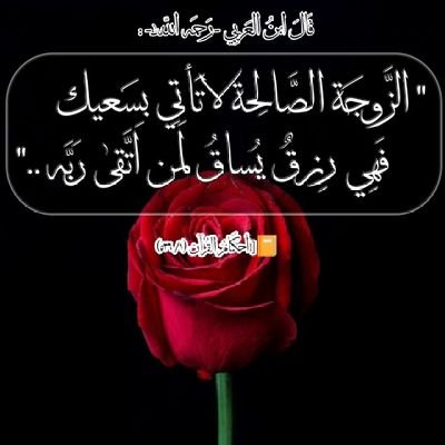 العلم نور