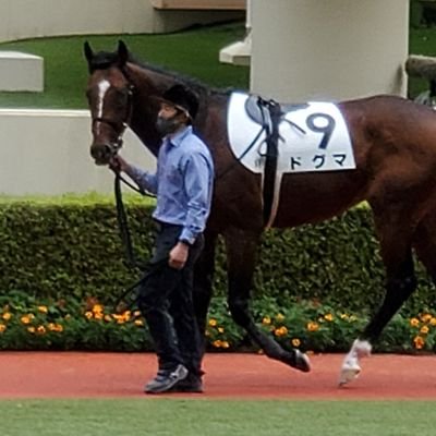 競馬の重賞予想を中心に(たまに一口馬の事を)呟いています。
血統適性・パドック(仕上がり)・調教の３点を点数化し総合的に判断するスタイルです。



月曜日:フォトパドック予想

火曜日:血統予想

木曜or金曜:調教予想

土曜日:前日評価公開

発走10分前:最終評価公開