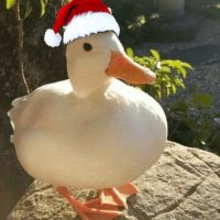 random (@rand0mx3) 's Twitter Profile