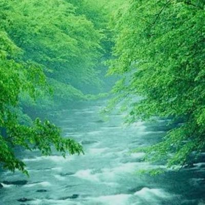 Rさんのプロフィール画像