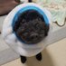 Cardano&JASMY推しの暗号資産収集家♪ (@moriyu18) Twitter profile photo Cardano&JASMY推しの暗号資産収集家♪ (@moriyu18) Twitter profile photo