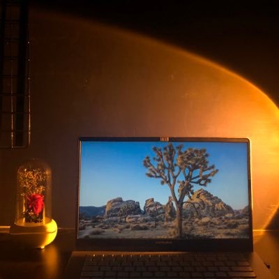 chasingmol's profile picture. 