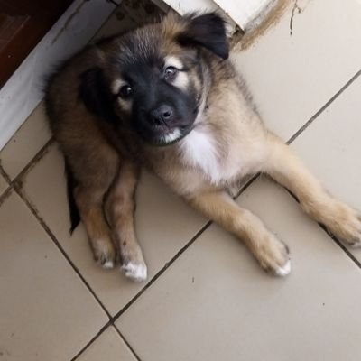 ARTHURMBANDA8's profile picture. J'aime JÉSUS CHRIST de Nazareth