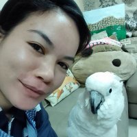 Cristene Gapier (@cristenegapier) 's Twitter Profile