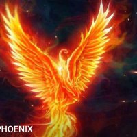Defi Phoenix (@defiphoenix_) 's Twitter Profile