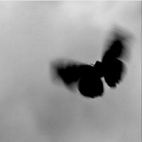 유키♡ (@yuki2102004) 's Twitter Profile