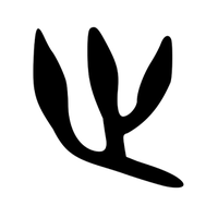 Xanthophyllum (@xanthophyllum) Twitter profile photo