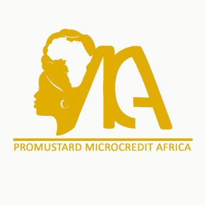 An impact investing firm that focuses on financing micro small and medium enterprises (MSMEs) in Africa.