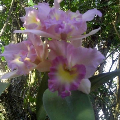 Gladysdrj's profile picture. 