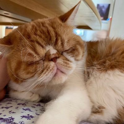 主に今ハマっているドラマや映画、大好きな坂口健太郎さんの事を気ままに呟いています。最近ファンクラブ入りました!おかえりモネ大好きです❤️ 機種変してアカウントが引き継げなかったので、新しく作りました♪ 無言フォロー失礼します❗️