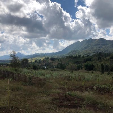 WaiPhyo14937737's profile picture. 