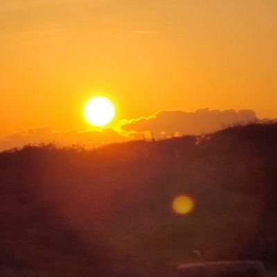 hana100426's profile picture. 행복하기!!