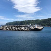 てら (@hhfjusbd) Twitter profile photo