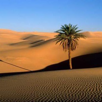 mn_alaarb's profile picture. (عندما تنضج ، سيقل الأصدقاء ، وسيكثر المعارف ، سيقل الباقون ، ويكثر العابرون) (ستترك الجدال حتى لو كنت متأكدا من رأيك)