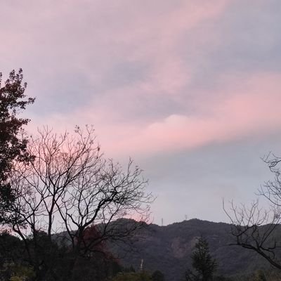 Z8Rz6FtQ1Os8BKi's profile picture. 。。