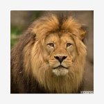 Rollwithit62's profile picture. 