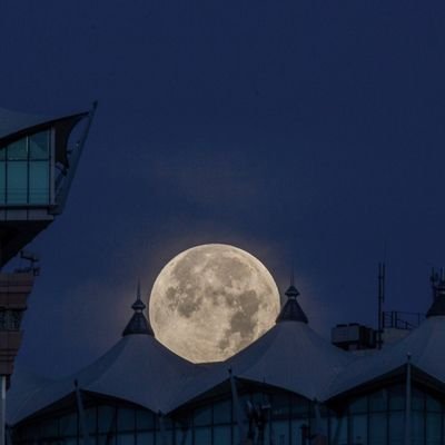 SsS770's profile picture. إنّمـا العـلـمُ الخَشيـةُ 🍃.