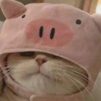 Cccyf (@cccyf5) 's Twitter Profile