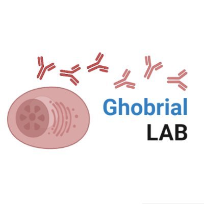 Ghobrial Lab Profile