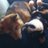 Crunchy_karma's profile image