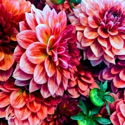 Deepthi64155147's profile picture. boy