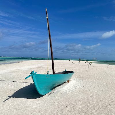 BrndPh83's profile picture. 