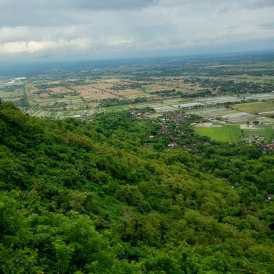 SelosaJacob's profile picture. selow