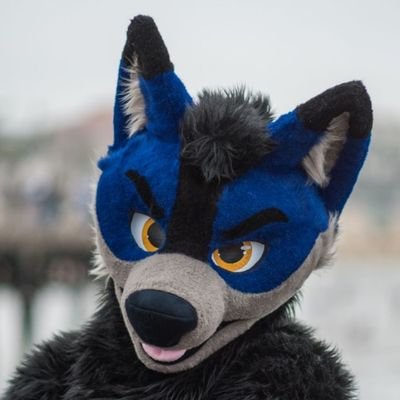 composingwolf Profile Picture