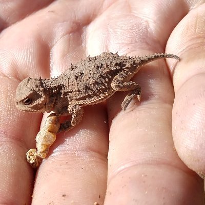 Poon48803388's profile picture. 22nd century schizoid mane