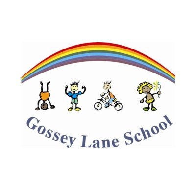 Gossey Lane Academy Profile