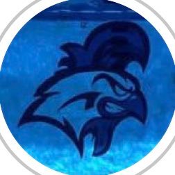 🏊♂️🐔❗️❕ | Vineland High School | Coach Bennett and Coach Del Valle | #vhsboysswimteam