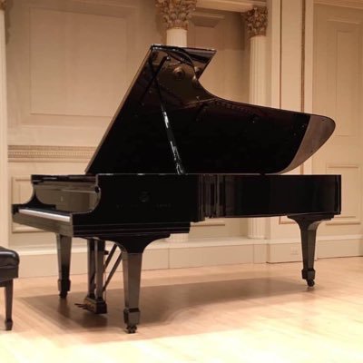 Classical Pianist & Piano Teacher, Vice Chairman Beethoven Piano Soc of Europe, Vice Chairman Piano Trio Soc, Vice Chairman Liszt Society was Vice Chair EPTA UK