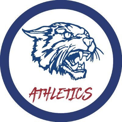 This is the official Twitter page for Williamsburg Local Schools Athletics (OH).