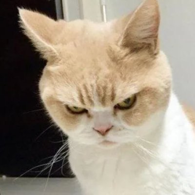 gogogo6269's profile picture. 