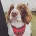 ellianaoxston93 (@ellianaoxston93) Twitter profile photo ellianaoxston93 (@ellianaoxston93) Twitter profile photo