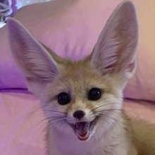 :3cさんのプロフィール画像