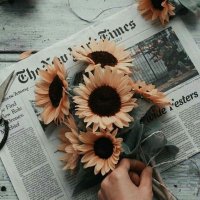 Isaury🌻 (@isaury0813) 's Twitter Profile