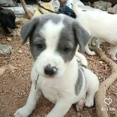 Cuana17's profile picture. 