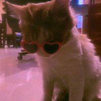 Malak⁷ 🇵🇸 (@anxhufflepuff) 's Twitter Profile