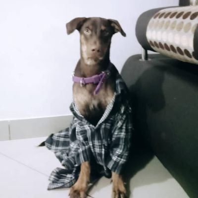 SanjeevSivakum6's profile picture. Architect