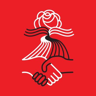 Official DSA Chapter of Hampshire, Hampden, and Franklin Counties. All hail the chickadee.