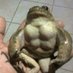 FroschPriv (@abifrosch) Twitter profile photo FroschPriv (@abifrosch) Twitter profile photo