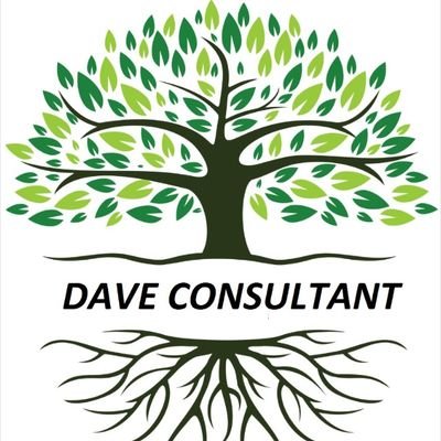 daveconsultant_ Profile Picture