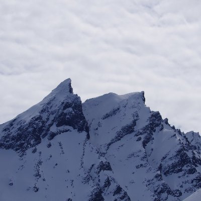 bjornarr's profile picture. Realist, Skeptiker