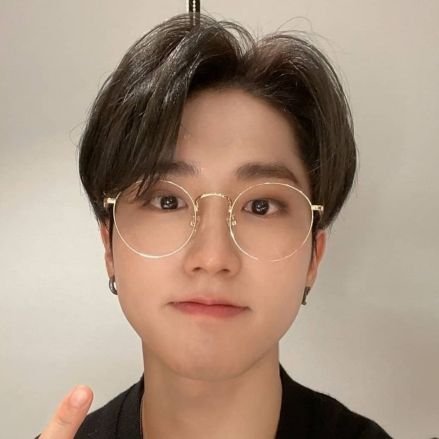 CH4NVOICES's profile picture. ㅤ       !? 🐻 ♡ ! stray % kids .